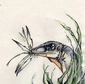 Scipionyx by Richard