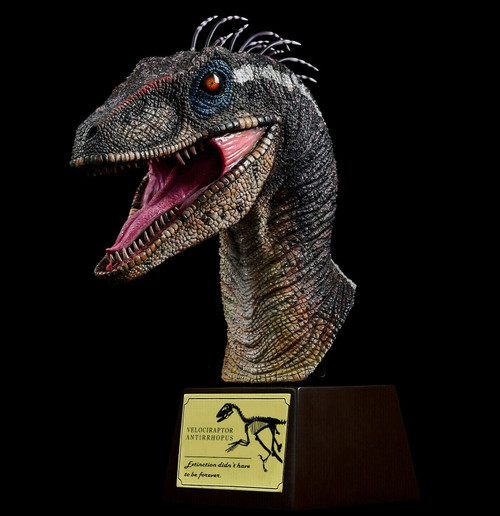Velociraptor Male Bust by Itoy