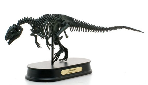 Allosaurus Skeleton by Favorite