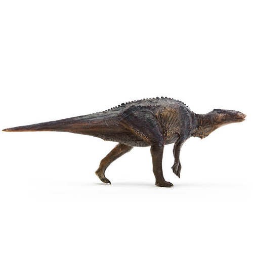Mandschurosaurus by PNSO