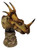 Styracosaurus Bust Resin Kit by Micromania