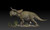 Nasutoceratops Grazing Resin Kit by Passion Charger