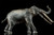 Stegotetrabelodon by Haolonggood