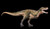 Tarbosaurus by Haolonggood