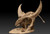 Dimorphodon Resin Kit by MO Models