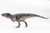 Tyrannosaurus 2026 by Haolonggood