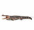 Deinosuchus by Haolonggood