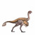 Gigantoraptor by PNSO