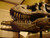 Tyrannosaurus Skull Replica by DinoStoreus