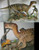 Eotyrannus vs. Iguanodon Resin Kit by Foulkes