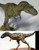 Gorgosaurus 1:10 Resin Kit by Greg Wenzel