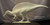 Spinosaurus "Saurozoic Collection" Resin Kit by Krentz