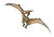 Pteranodon by Papo