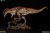 Ceratosaurus by Sideshow