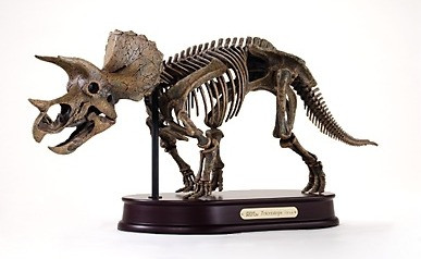 邦楽 THE GREAT SKELETON'S ~ / TRICERATOPS LP 邦楽 THE GREAT SKELETON'S ~ / TRICERATOPS LP Yahoo