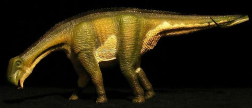 Nigersaurus by Wild Safari - Dan's Dinosaurs