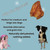 Pigs Ears