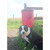 Melba Swintex 35L Doggy Waste Bin Post / Wall Mount, red waste bin with dog logo, mounted on a wooden post in an outdoor park area with a happy dog sitting nearby.