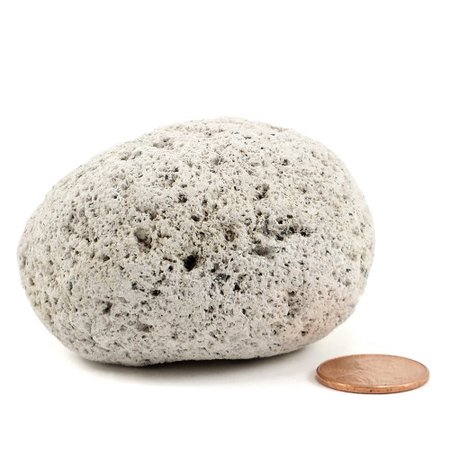Pumice Stone – SoBotanical