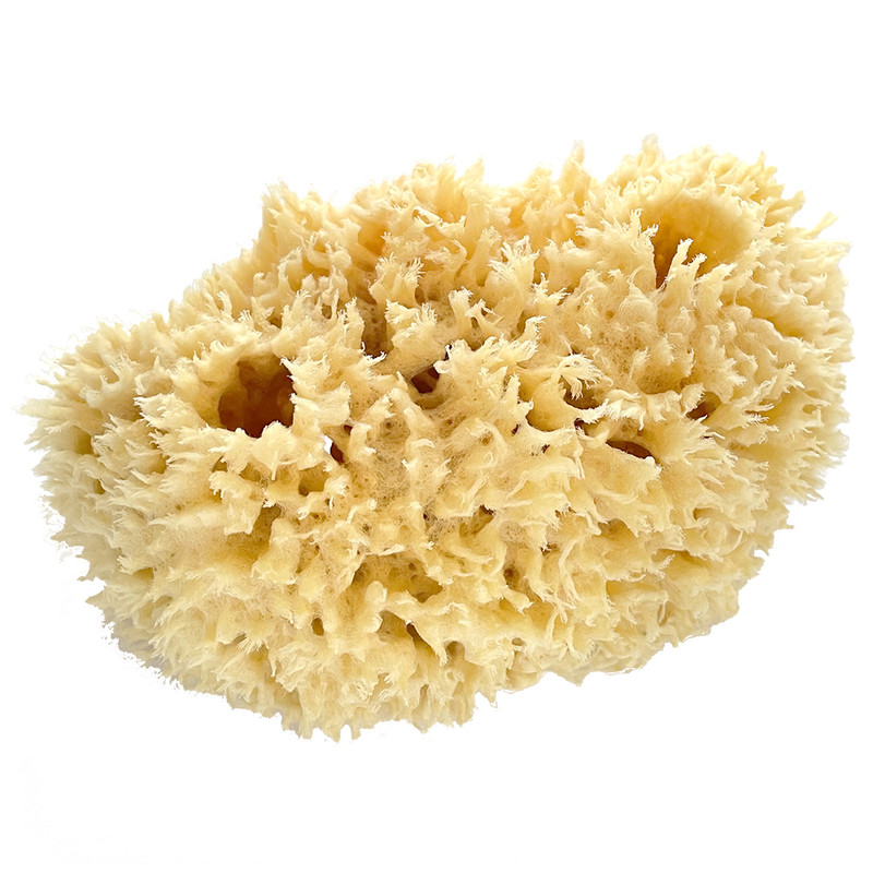 XERO Natural Sea Wool Sponge