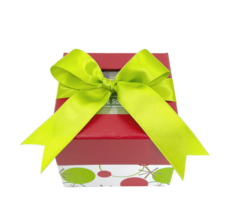 Hip Holiday Small Closed