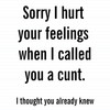 Sorry I Hurt Your Feelings