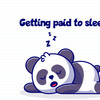 Paid To Sleep