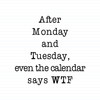 Calendar Says WTF