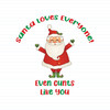Santa Loves Everyone
