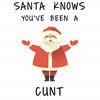 Santa Knows You've Been A Cunt