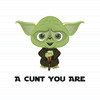 A Cunt You Are