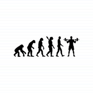 Evolution Of A Body Builder