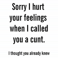 Sorry I Hurt Your Feelings