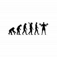 Evolution Of A Body Pumper