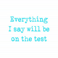 Everything I Say Will Be On The Test