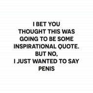 Inspirational Quote Penis