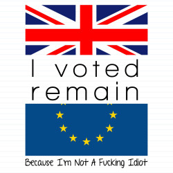 I Voted Remain Because I'm Not A Fucking Idiot