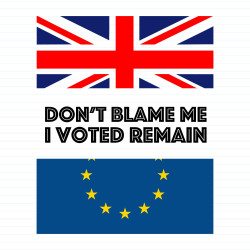 Don't Blame Me I Voted Remain