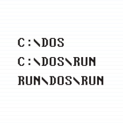 C DOS RUN