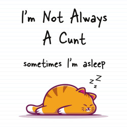 I'm Not Always A .... Sometimes I'm Asleep