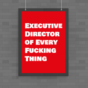 Executive Director of Every Fucking Thing - Rude Posters - Slightly Disturbed - Image 1 of 1