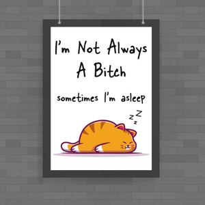 I'm Not Always A .... Sometimes I'm Asleep - Rude Posters - Slightly Disturbed - Image 1 of 4