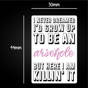 Grow Up To Be An Arsehole - Rude Sticker Packs - Slightly Disturbed - Image 1 of 1