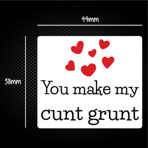 You Make My Cunt Grunt - Rude Sticker Packs - Slightly Disturbed - Image 1 of 1