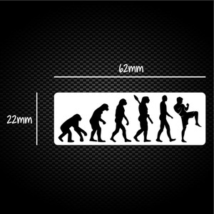 Evolution Of A MMA Fighter - Novelty Sticker Packs - Slightly Disturbed - Image 1 of 1