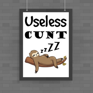 Useless Cunt - Rude Posters - Slightly Disturbed - Image 1 of 1