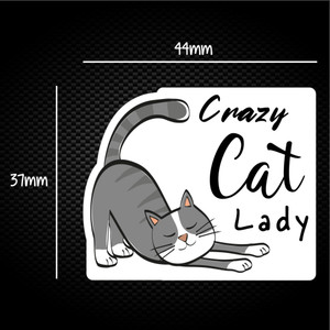 Crazy Cat Lady - Rude Sticker Packs - Slightly Disturbed - Image 1 of 1