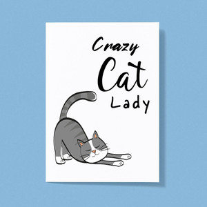 Crazy Cat Lady - Rude Greeting Cards - Slightly Disturbed - Image 1 of 1