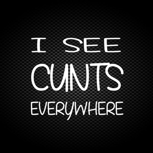 I See Cunts - Rude Vinyl Stickers - Slightly Disturbed - Image 1 of 2