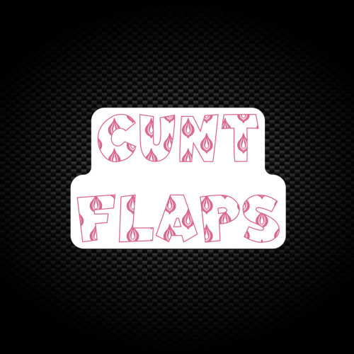 Cunt Flaps - Rude Vinyl Stickers - Slightly Disturbed - Image 1 of 1